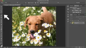 crop-tool
