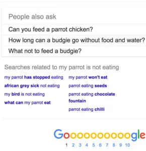google suggestions
