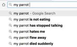 keyword search 1