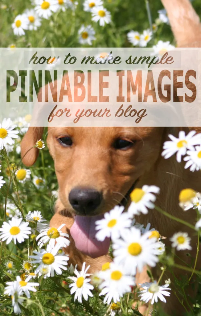 pinnable-images