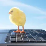 Planning And Preparing Your Pet Blog