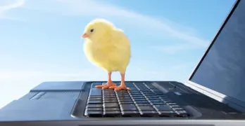 Planning And Preparing Your Pet Blog
