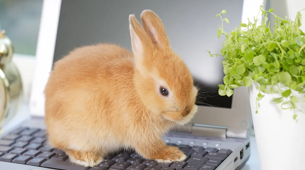 Why Most Blog Content Fails And How To Make Sure Yours Doesn’t