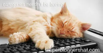 WordPress Categories: How to set up categories in your blog