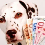 How To Learn From Blog Income Reports